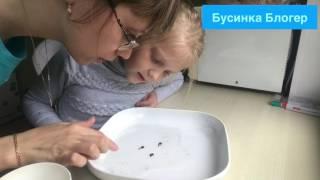 Танцующий человечек и головастики))) от Бусинки Блогера и Серёжки.