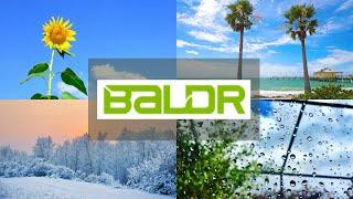 Get to Know Baldr Electronic