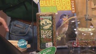 Attracting Bluebirds To Your Yard