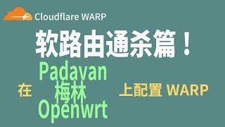 软路由通杀篇：在Padavan、梅林、Openwrt等所有软路由系统上安装Cloudflare WARP