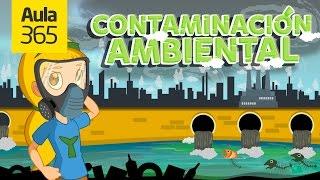 ¿Qué es la Contaminación Ambiental? | Videos Educativos Aula365