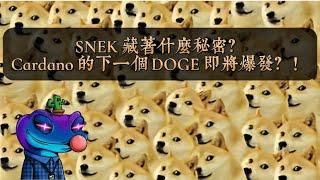 『SNEK 藏著什麼秘密？Cardano 的下一個 DOGE 即將爆發！』 #btc #dogecoin #cardano #ada #snek #defi