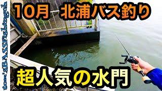 【10月　北浦バス釣り】人気の水門をルアーローテーションしたら釣れる！？