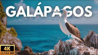 GALAPAGOS ISLANDS - THE CRADLE OF WILDLIFE | Full Documentary