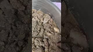 حلويات العجل  مع ماما منى روحي على الفيديو شوفي الوصفه كامله ️