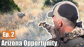 BOWHUNTING DEER IN THE DESERT: Arizona Opportunity Hunt (Ep. 2)