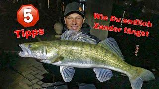 SO fängt JEDER Zander!