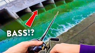 Fishing UNIQUE Creeks and Ponds In The CITY with Westin Smith!