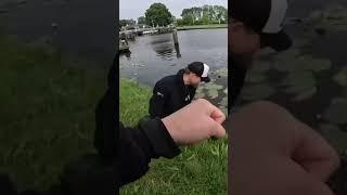 Direkt draufgeknallt  #raubfischangeln #rapfen #baitcasting