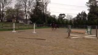 Murray Jumping 2