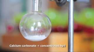 Carbon dioxide laboratory preparation