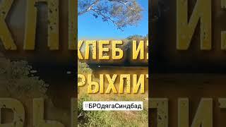 #новаяжизнь#философияжизни
