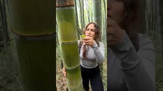 The GIRL's skills are AMAZING#camping #survival #bushcraft#outdoors#shotrs#youtubeshorts