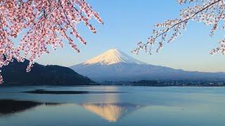 Mt Fuji Day Trip with Lake Ashi Sightseeing Cruise from Tokyo, Japan