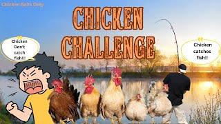 Chicken Tournament