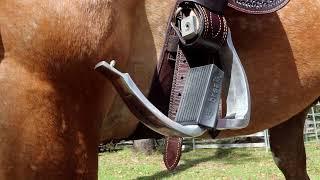 Fort Worth Breakfree Safety Oxbow - Greg Grant Saddlery