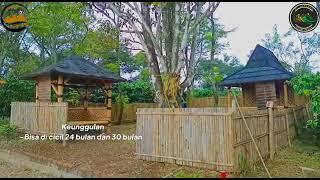 kavling kebun kencana alam kavling dengan konsep siap panen kopi,durian dan cengkeh