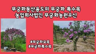 무궁화공원, 무궁화동산 용도의 특수목, 무궁화농원우신, Hibiscus syriacus L. 무궁화묘목 특수목