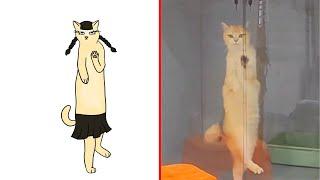 Cat Memes: Funniest Animals 2023 - Drawing Meme Funny Cats and Dogs | Cat Memes