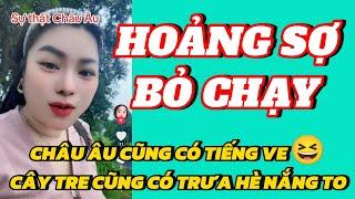 HOÀNG KIM DUNG trốn khỏi Nơi Cư Trú sau khi bị phát hiện