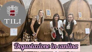 Una bellissima esperienza -DEGUSTAZIONE in CANTINA- Tili Vini Assisi