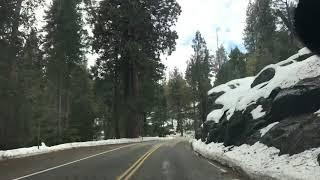 Sequoia National Forest - General’s Highway