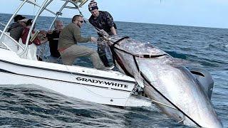 Amazing Fastest Giant Bluefin Tuna Fishing Skill - Most Satisfying Sea Fishing Video