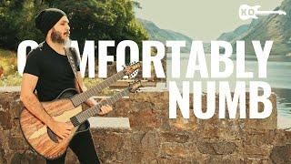 Pink Floyd - Comfortably Numb - Guitar Cover by Kfir Ochaion - Emerald Guitars