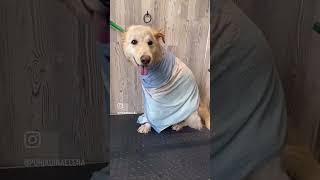 Клиент #работа #любимаяработа #люблюсвоюработу #клиенты