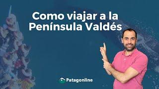 Viajar a la Península Valdés - Todo lo que tenes que saber