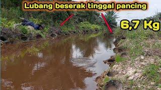 MANCING BELUT DAPAT 6.7Kg siapa sangka tanah gambut banyak belut nya, best eel fishing