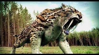 National geographic Documentary - Prehistoric predators - Beficompta