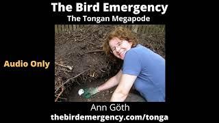 086 Tongan Megapode with Ann Goth