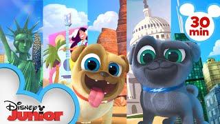 Bingo and Rolly Travel Across America  | 30 Minute Compilation | Puppy Dog Pals | Disney Junior