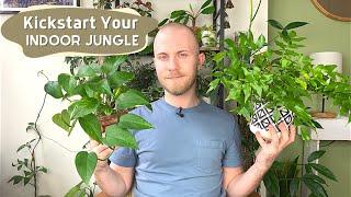 5 Plants To Kickstart Your Indoor Jungle