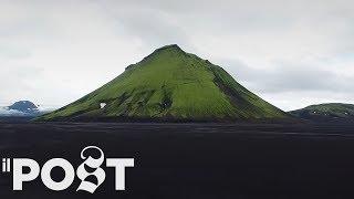 In Islanda c'è bisogno di alberi