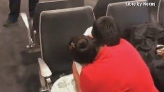 Crying mother and son reunited after separation at U.S. border