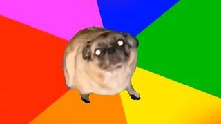 fuc it pug vibin to sh boom