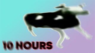 Dancing Polish Cow at 4 am 10 hour version