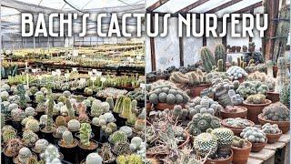 Bach's Cactus Nursery | Tucson, AZ | Epic plant shopping & greenhouse tour ft. rare specimens