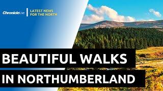 Beautiful walks through Northumberland National Park