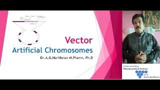 Artificial Chromosome Vector