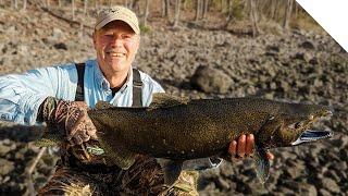 Salmon and Steelhead combo - end of the salmon run and the beginning of the steelhead run