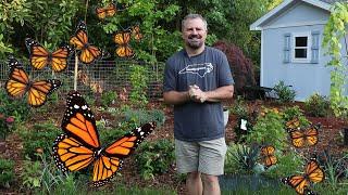 Butterfly Attracting Flowers - 