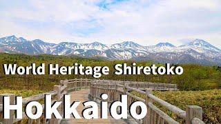 【Hokkaido/Shiretoko】World Heritage site Shiretoko（Wild Animals, Falls, Shiretoko Goko Lake)