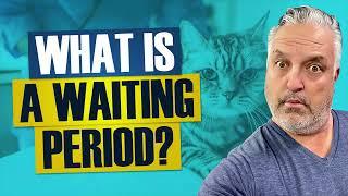 Pet Health Insurance - What Are Waiting Periods?