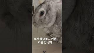 놀랍게도 도배 장판 모두  새로했었음