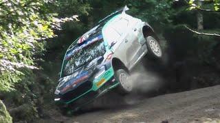 WRC TRIBUTE 2024: Bonus Clips