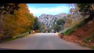 DRIVING THERISO-CHANIA CRETE -CANYON-KRI-KRI