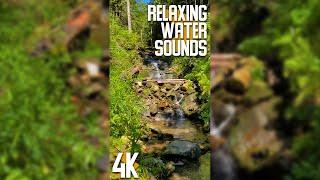 4K Relaxing Forest Waterfall for Vertical Screens - 3HRS Falling Water Sound & Bird Songs for Sleep